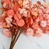 Autumn Eucalyptus Branches: Thanksgiving & Harvest Festival Decoration