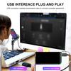 USB Gaming Mikrofon RGB Datamaskinmikrofon med Filter Studioopptak Streaming Innholdsskaping PC Mikrofon