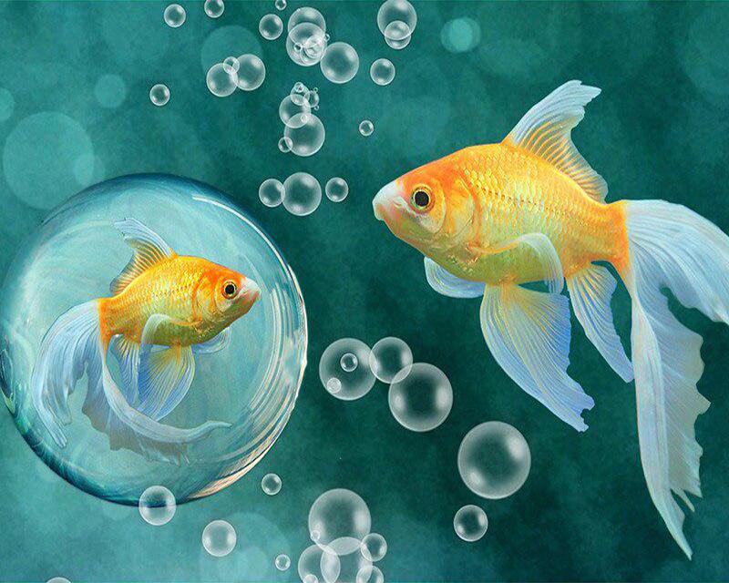 5D Diamond Painting Yard Animals Full Square Round Diamond Embroidery Full Set Watercolor Brown Dog Diamond Mosaic Craft Kit Home Decor