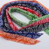 Écharpe de refroidissement confortable pour chiens Bandanas rafraîchissants pour animaux de compagnie Convient pour les sports de plein air et les voyages