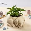Modern White Minimalist Planter Cute Puppy Planter, 3D Printed Decorative Plant Pot, Unique DIY Hand Painted Flower Pot Dog Shaped for Succulents Home