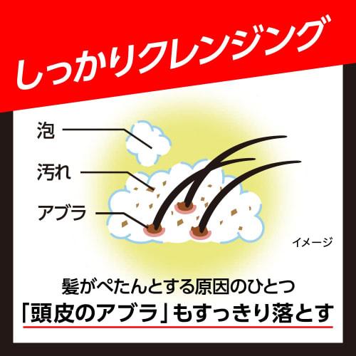 Success shampoo volume up type main body