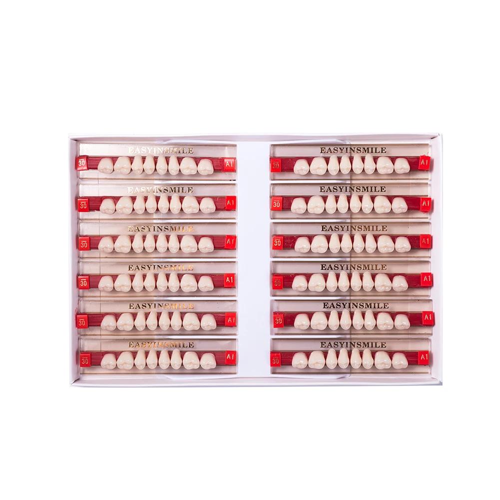 16/12 Sätze/Karton Zahnprothese Zähne Oberkiefer Frontzähne Unterkiefer Seitenzähne Dentier Synthetisches Polymerzähne Zahnmedizinische Ausbildungsmodell