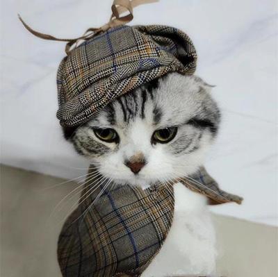 Sherlock Holmes Yazlık Kolsuz Şapka ve Pelerin Kedi ve Küçük Köpekler İçin Set