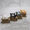 Cartoon 4pcs Cat Poor Box Kitten Model Small Statue Car Figurine Figure Crafts