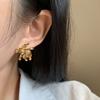 Autumn and Winter Maillard Tiger's Eye Stone Beaded Fireworks Earrings, New Popular Retro Niche High-end Earrings