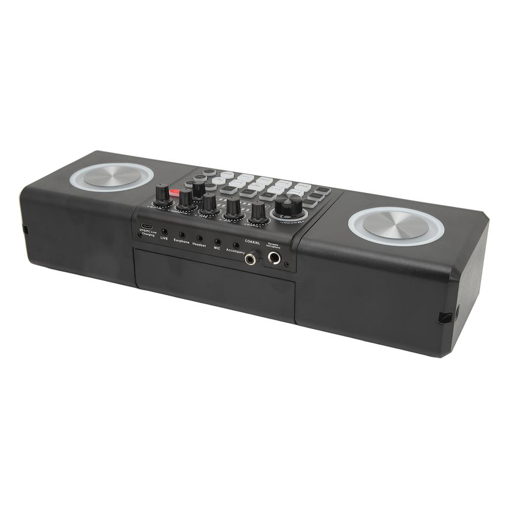 Karaoke Machine with 2 Microphones Portable Bluetooth Outdoor Sound Card Speaker Karaoke Machine Set for Home Party