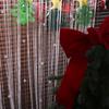 Solid Color Crystal Beads String Curtain Room Divider Tassel Window Curtain  Home Decor