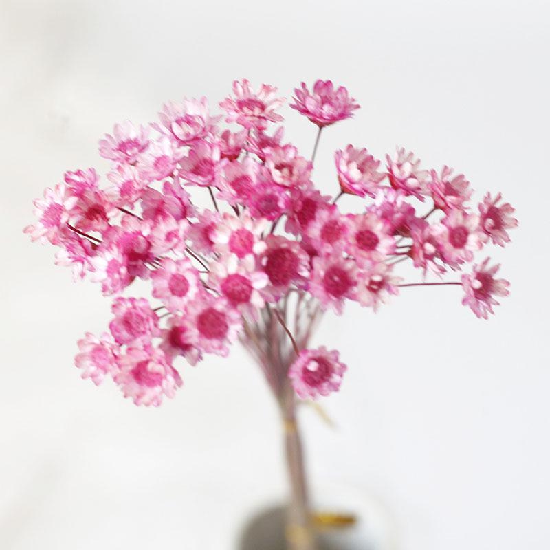 

Бразильская Звездчатка, Ароматическая свеча с ароматом Маргаритки, Губная помада и Мини-букет из сухоцветов, DIY Композиция из смолы для фоторамки