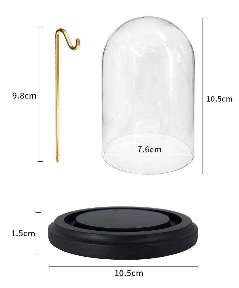 Pocket Watch Display Case Clear Glass Dome Cloche Dust Cover with Golden Hanging Hook and Black Wooden Base for Home Decoration