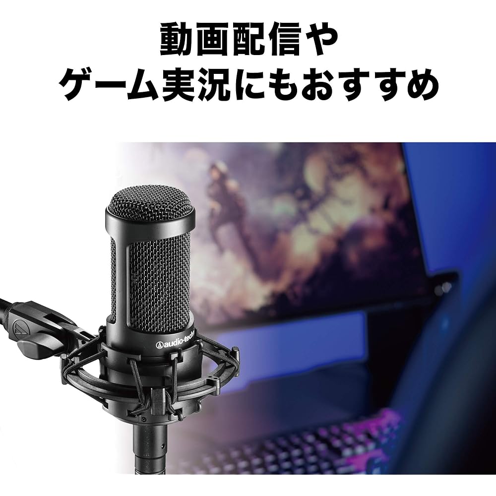 Audio-Technica AT2035 Condenser Microphone Single Directional/Low Cut Switch/Pad Switch/Exclusive...