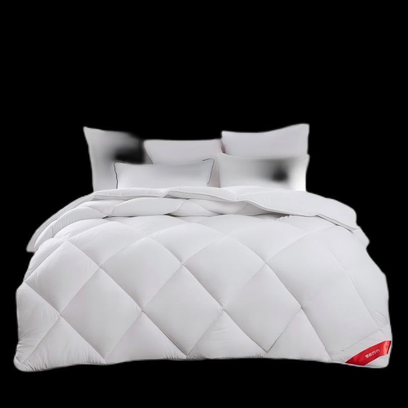 Mengjie Premium Soft Winter Quilt