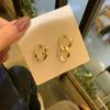 Silver needle Korean earrings female trend retro European and American style Internet celebrities exaggerated ins cold wind metal chain earrings