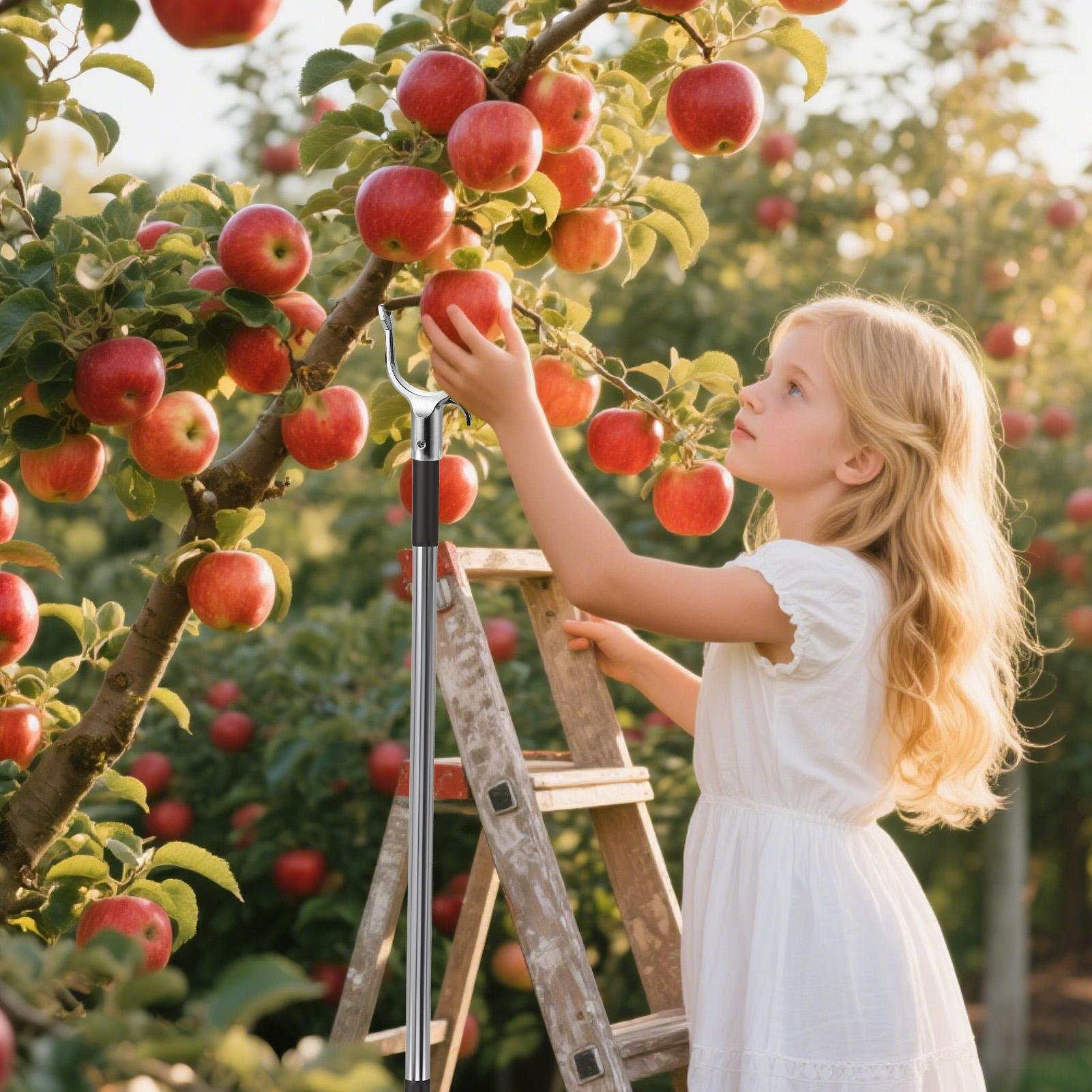 

Metal Tree Branch Support Metal Tree Branch Support Crutch Adjustable Plant Limb Straightening Stabilizer Tool for Ornamental China Mainland