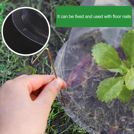 Plant Reusable Plant Propagation Cover Transparent Cloche Frost Protection Snail Protection