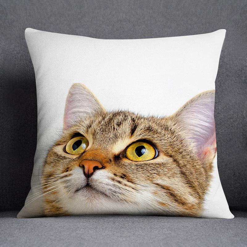 Cat Series Pattern Decorative Pillowcase, Square Home Office Decoration (45Cm * 45Cm)