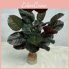 Simulated Ficus Elastica Plants Hotel Parks Artificial Landscapes Room Ornament