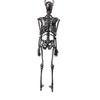 Skull Pendant Necklace Lightweight Skeleton Neckchain Gothic Clavicle Chain for Fashion Individuals Halloween Gifts