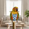 Warm Pet Parrot Diaper Adjustable Bird Flight Suits Fashion Bird Nappy  Daily Clothing