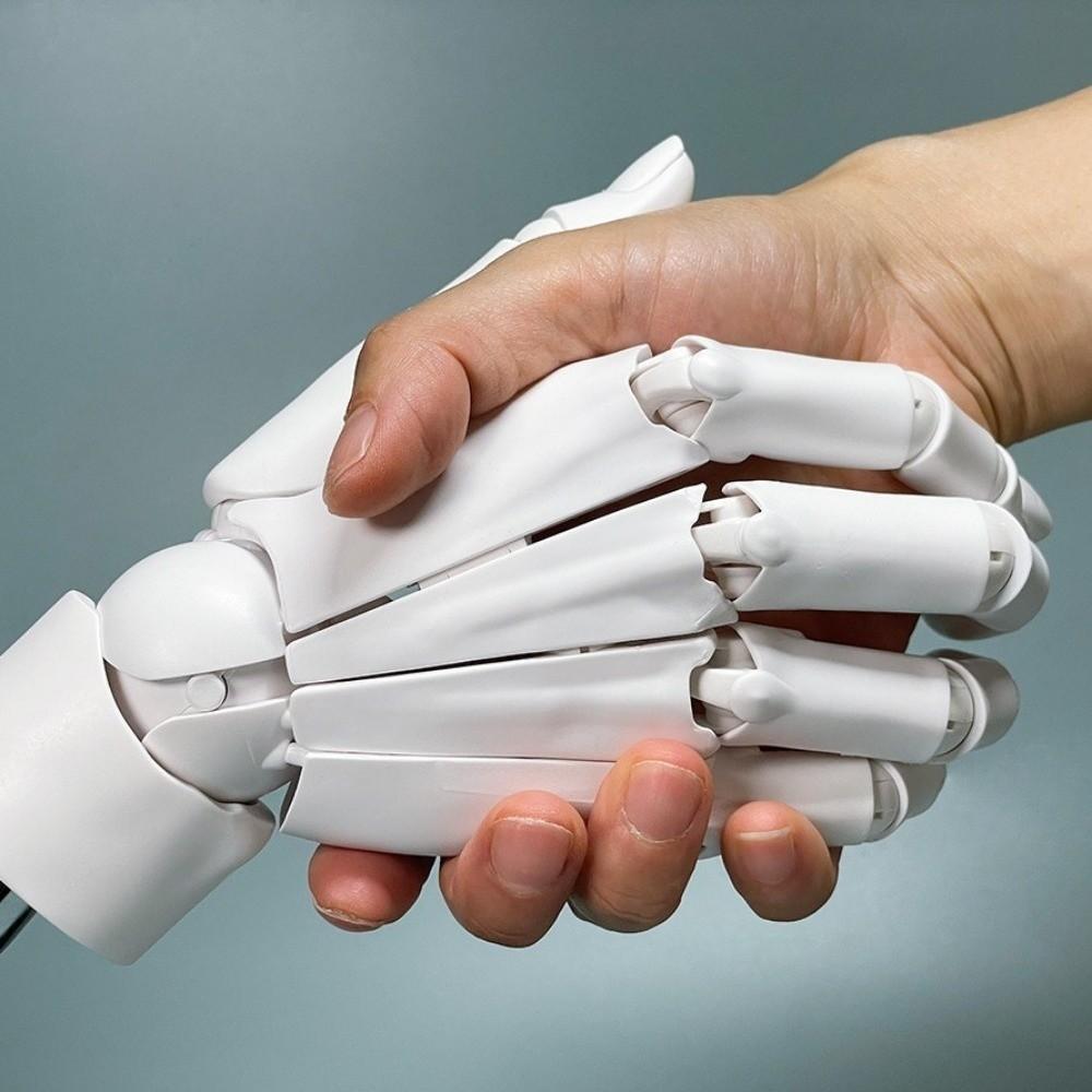 Left/Right Articulated Hand Model Hand Finger Joint Figurine  Simulation Sketching Painting