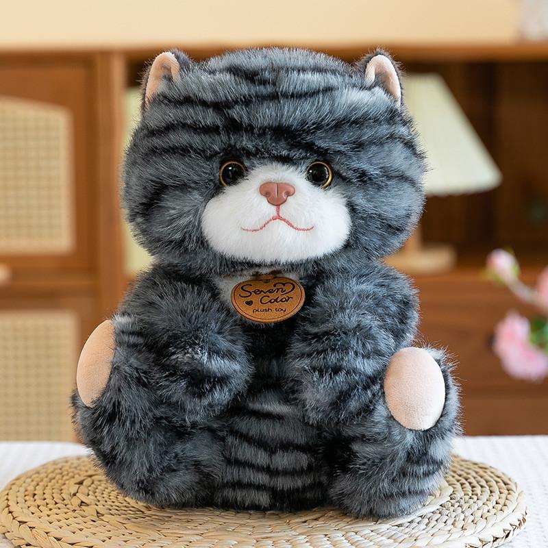 Cat Plush Cute Toys Cartoon Girl Children Bedroom Decoration Presents Dolls
