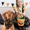Halloween Reversible Pet Scarf