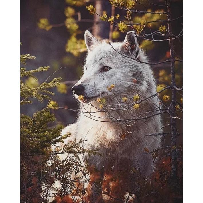 

Алмазная картина, полная круглая вышивка крестом, алмазная вышивка, новое поступление, мозаика из стразов, домашний декор на стену 15x20CM