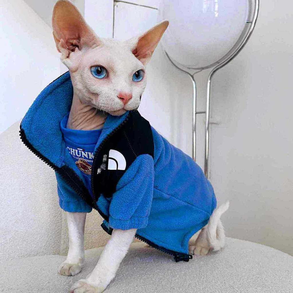 Sphinx Devon Nacktkatze Kleidung Trend Winter Fleece Warmer Pullover Jacke Haustier Hund Kleidung