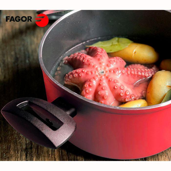 Casserole Induction 20cm Aluminium Forgé, Antiadhésif Sans PFOA, Couvercle Verre FAGOR Maxima Rouge 01182