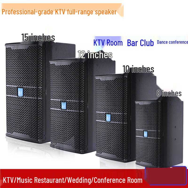 CTRLPA Professional Full-Range Speaker