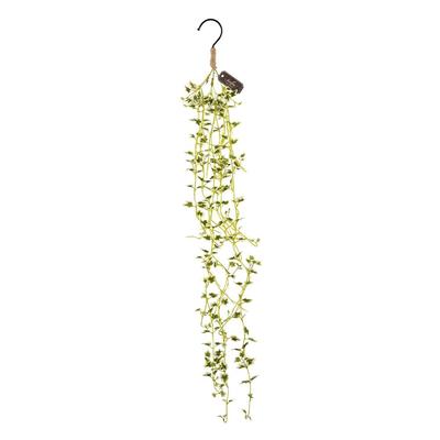 Kishima CT Catalyst Faux Deodorizing Artificial Wall Decorative Stylish Interior Air Artificial Imitation Wall Greenery, Plant, Art, Object, Greenery,