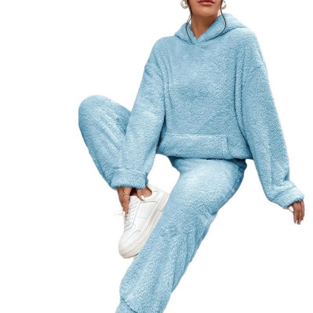 Fall Winter New Solid Fleece Hooded Long Sleeve Top & Pants Set, Casual Women's Outfit For Women