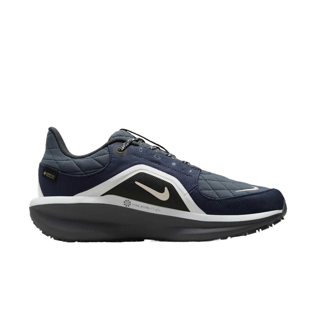 Nike Women's Winflo 11 GORE-TEX Dark Obsidian Pure Platinum FQ1359-400