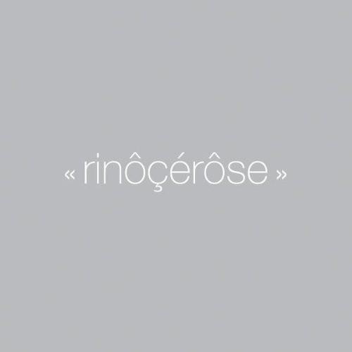 

CD RINRSE - Anthologie WR1040782 V2 Music Publis 2006 France Dance & Electronica Used