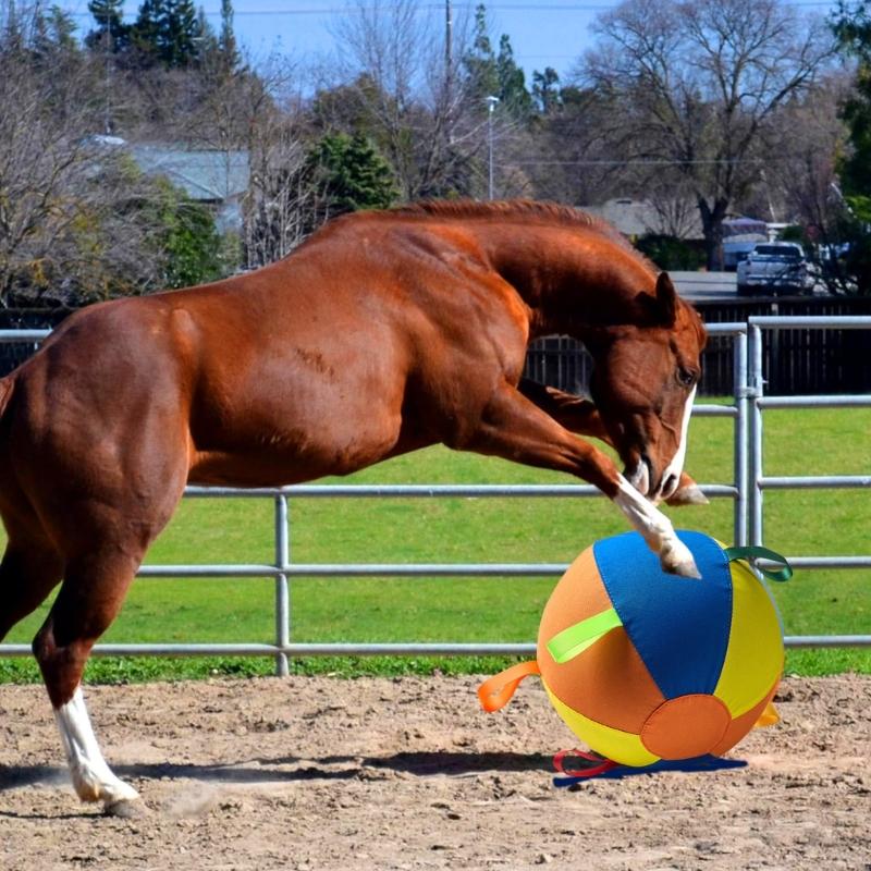 Dog Herding Ball Cover Interactive Inflatable Toy For Dog Encouraging Exercise and Outdoor Game Fun Bouncy Toy