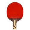 DHS 9-Star H9006 Penhold Table Tennis Racket Set