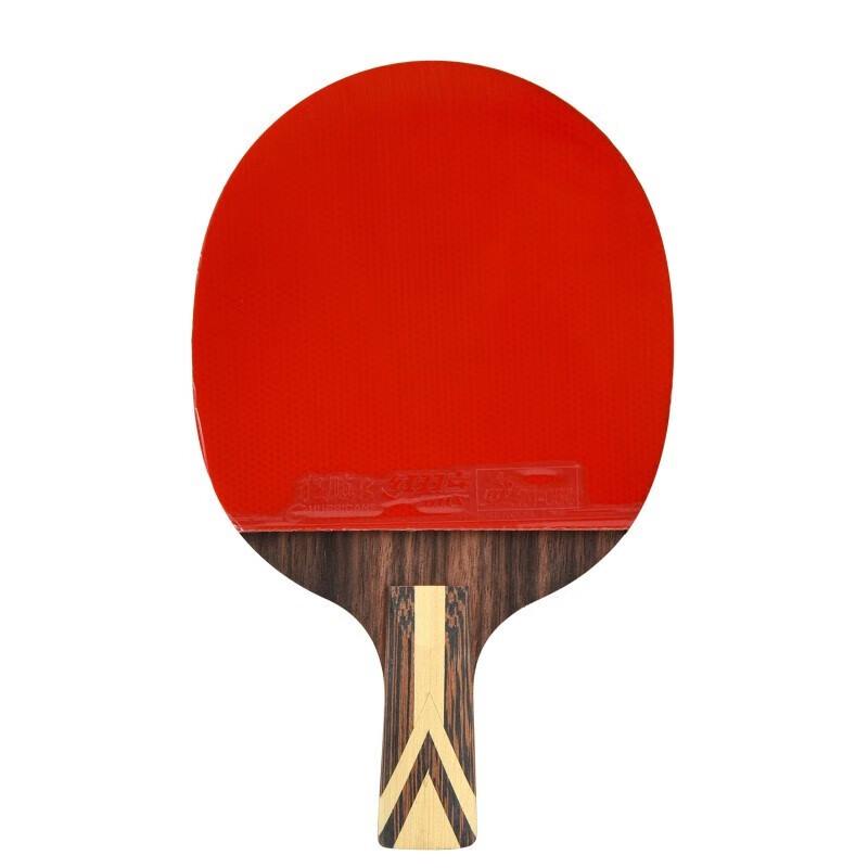DHS 9-Star H9006 Penhold Table Tennis Racket Set
