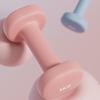 Longzhan Dipped Dumbbells