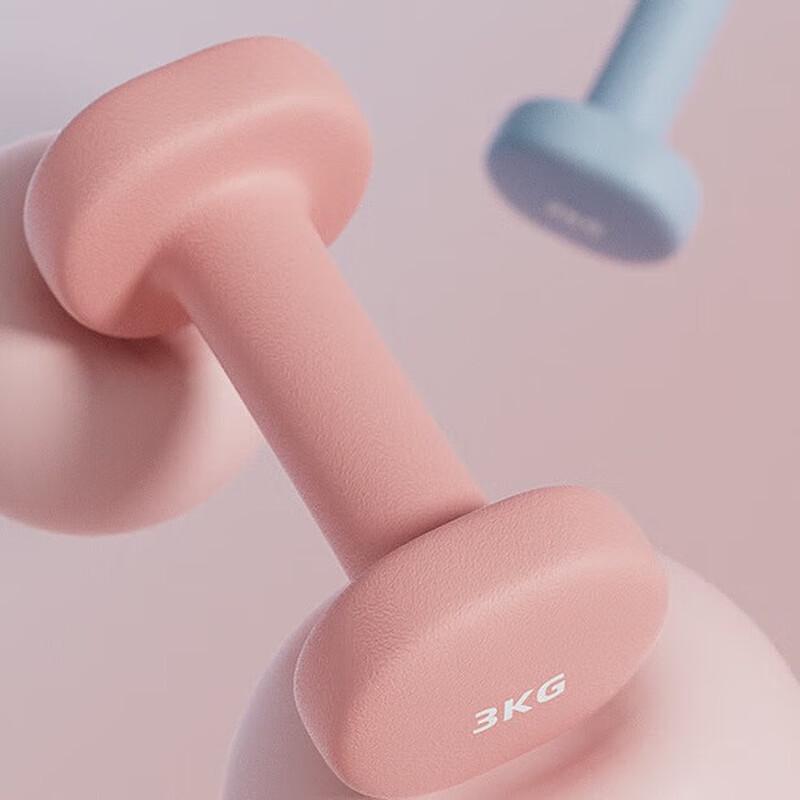 Longzhan Dipped Dumbbells