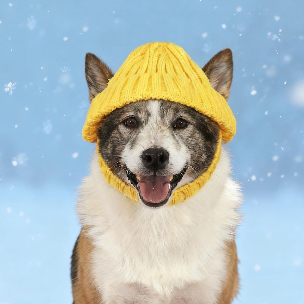Knitted Pet Hat with Ear Holes Winter Warmer Dog Hat Elastic Ear-Exposing Headgear for Dogs & Cat for Small Medium Dogs