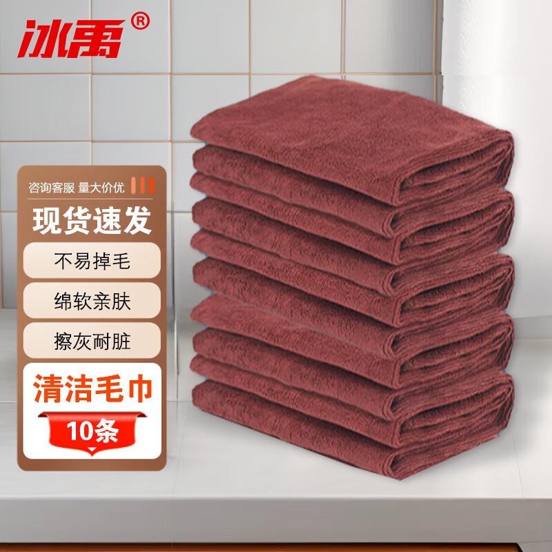 Bingyu 30x60cm Multi-Purpose Cleaning Towels (10 Pack)