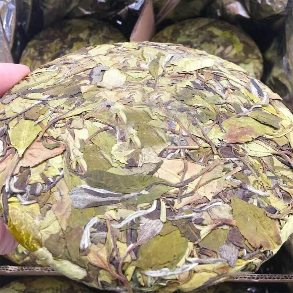 FuDing Old ShouMei White Tea Old White Tea Old ShouMei White Tea Cake 300 Grams