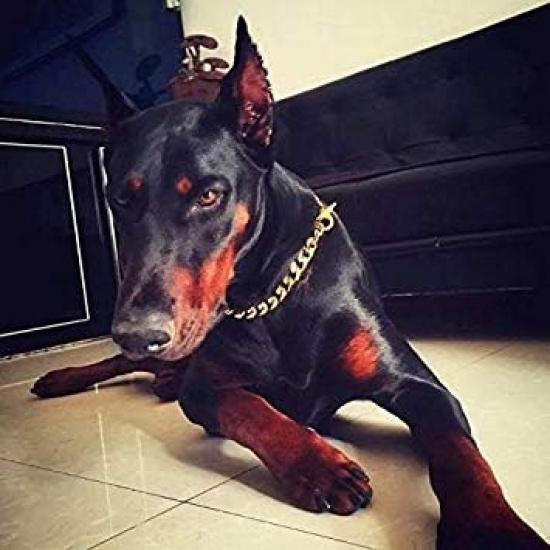 Chain Dog Collar 18K Gold Cuban Link Dog Chain Chain Collar Metal Stainless Steel Heavy Duty Slip Dog Collars for Small, Medium, and Large Dogs(15MM,