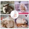 Water Dispenser 500ml Guinea Pig Water Dispenser Automatic Pet Water Dispenser Small Animal Cage Water Feeder For Bunny