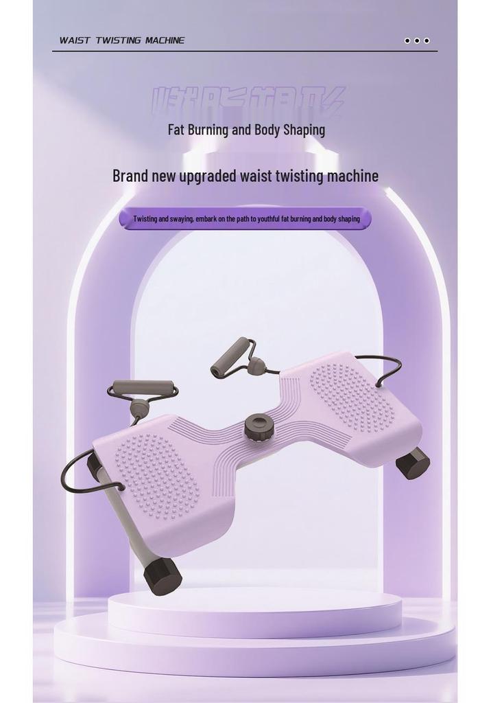 Adjustable Silent Double Bearing Waist Twisting Disc for Fitness