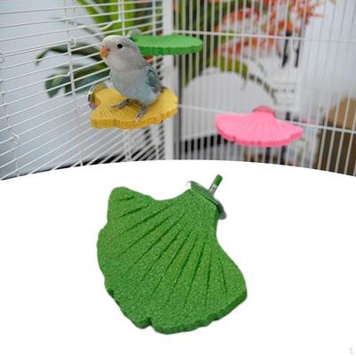Bidýlko pro ptáky s designem listu ginkgo, stanice pro broušení drápků pro papoušky