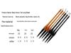 Bear Hair Long Peak Calligraphy Brushes - Four Treasures for Beginner Training