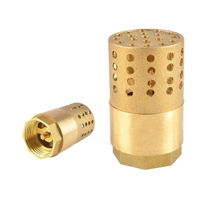 Valvola di fondo con filtro a cestello e filettatura femmina BSP da 3/4" 1" 1-1/4" 1-1/2" in ottone Valvola a pedale per pompa dell'acqua