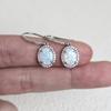 Popular Oval Opal Ear Hook Women's Micro-inlaid Zircon High-quality Kyocera Opal Opal Fashion Jewelry