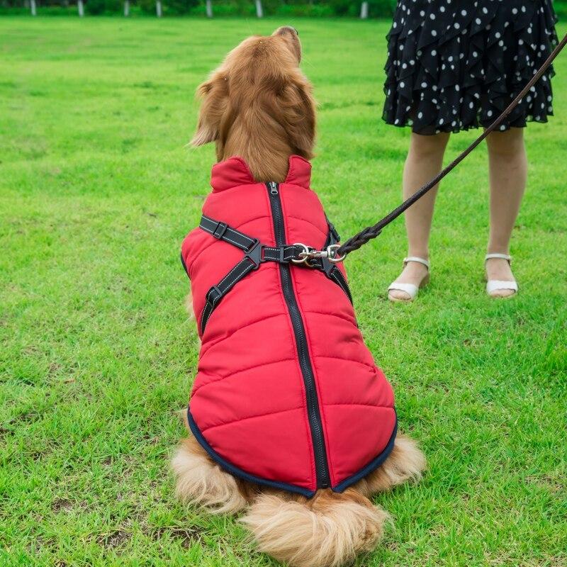 Buy Hot Winter Pet Clothes for Small Dogs Big Pet Dog Clothes French